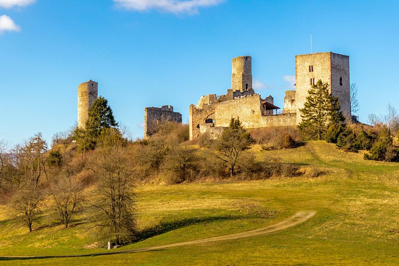 Spring walk around the castle ruins Brandenburg in the beautiful by Oliver Hlavaty