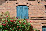 Spreewaldfenster von Ingo Laue Miniaturansicht