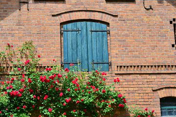 Spreewald raam van Ingo Laue