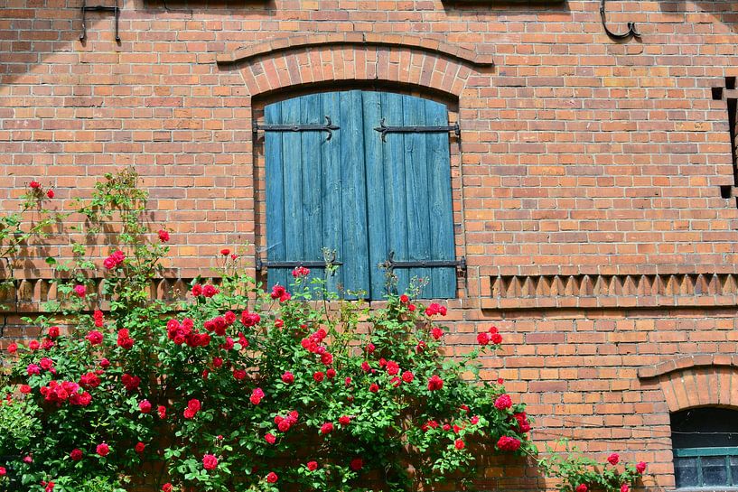 Spreewaldfenster von Ingo Laue