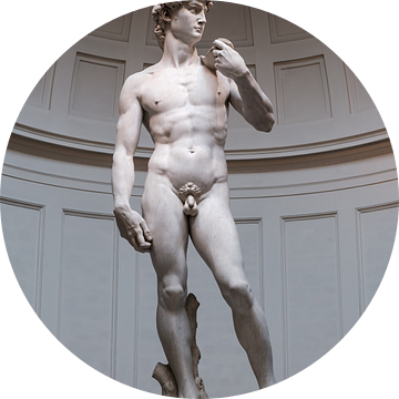 David door Michelangelo in Florence van Erwin Blekkenhorst