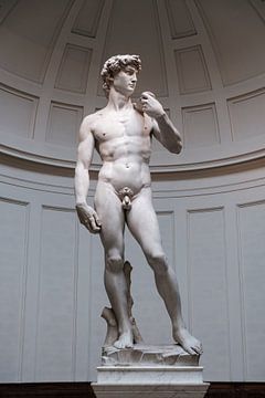 David by Michelangelo in Florence by Erwin Blekkenhorst