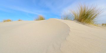Small dunes at the beach during a beautiful spring day by Sjoerd van der Wal