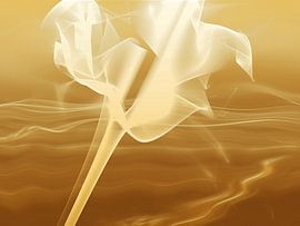 Desert flower by Marlies Odehnal