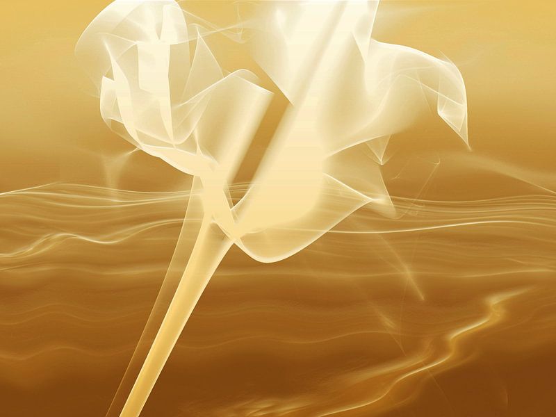 Wüstenblume von Marlies Odehnal