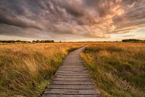  The path to the clouds van Davy Sleijster