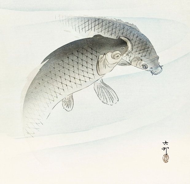 Deux carpes (1900 - 1910) par Ohara Koson par Studio POPPY