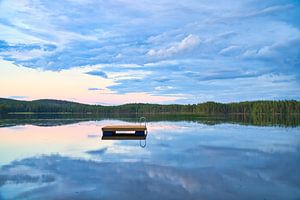 Schwimminsel in einem schwedischen See