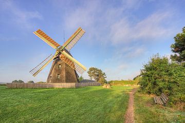 Windmolen op Amrum in de ochtendzon van Michael Valjak