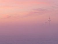 windmill