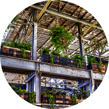 LocHal van Masselink Portfolio