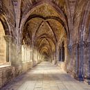 Cloister in Forence by Rob van Esch thumbnail