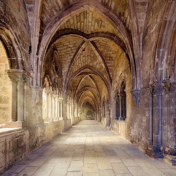 Cloister in Forence by Rob van Esch