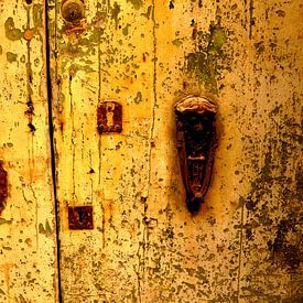 the door to.... van Piotr Kutolowski