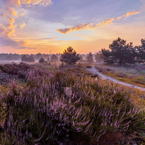 Between the blue and the golden hour by Stephan Krabbendam