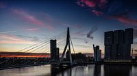 Rotterdam in the early morning von Lex Schulte Miniaturansicht