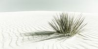 WHITE SANDS Dunes | Vintage Panorama van Melanie Viola thumbnail