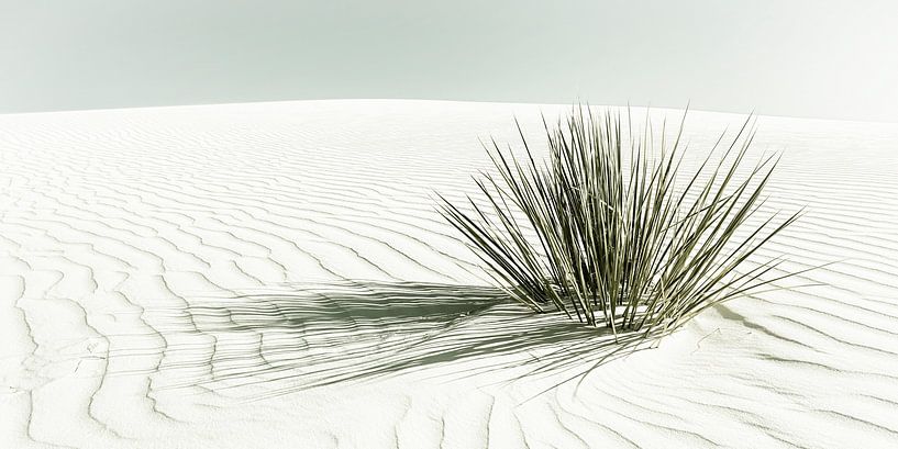 WHITE SANDS Dunes | Vintage Panorama van Melanie Viola