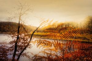 Sonnenaufgang im Herbst