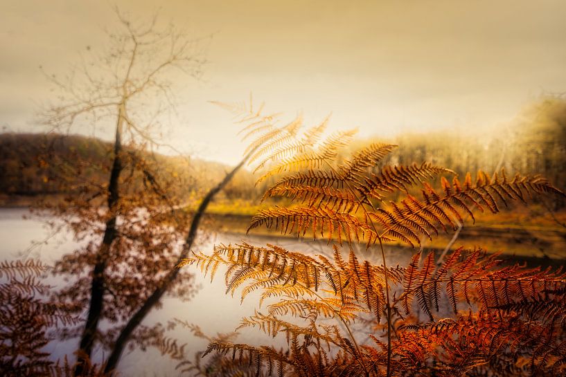 Autum sunrise by Rik Verslype