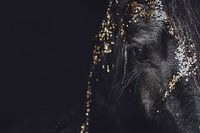Fine art portret Fries paard met goud close-up