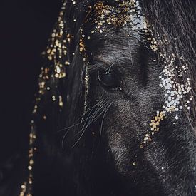 Fine art portret Fries paard met goud close-up van Shirley van Lieshout