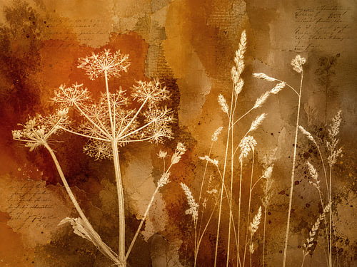 Meadow mix on warm brown paper