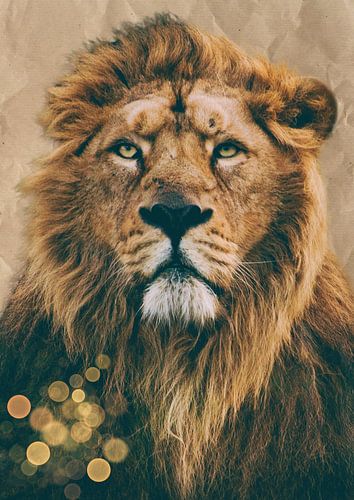 Leeuwenkop in goud- beige tinten