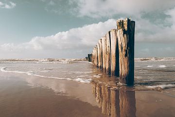 Palen met spiegeling aan het strand van Jan Bouma