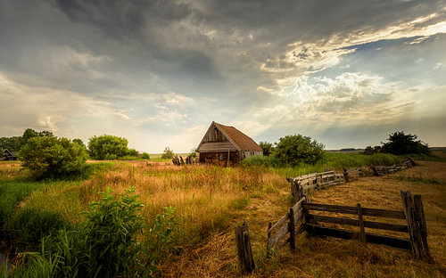 Schafstall in der Landschaft von Texel bei Den Hoorn