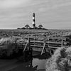 Lighthouse Westerheversand with small bridge in the salt marshes - black and white by Frank Herrmann