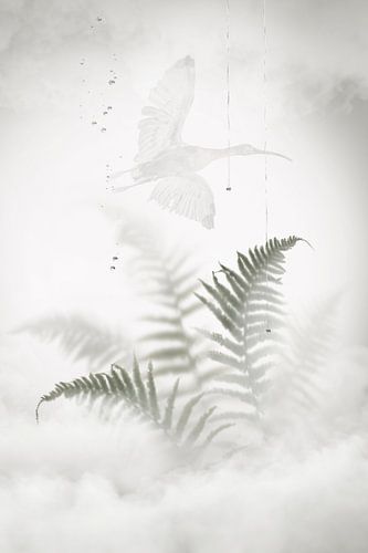 Behind the glass window. 8