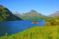 View of Innerfjorden near Møysalen van Gisela Scheffbuch thumbnail