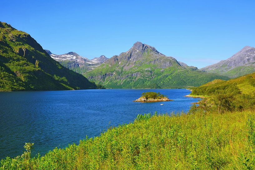 View of Innerfjorden near Møysalen van Gisela Scheffbuch