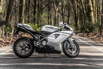 ducati 848 panigale portret by Westland Op Wielen