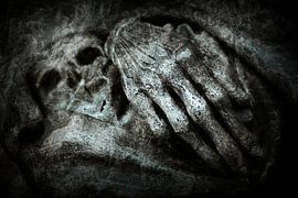 Haut und Knochen von Willem Havenaar