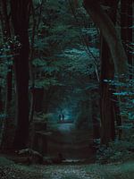 Forest path