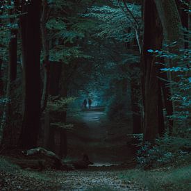Chemin forestier sur Eric Andriessen