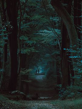 Waldweg von Eric Andriessen