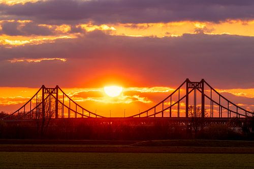 Pont d'Uerdinger à Krefeld