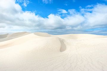 Le royaume des dunes : Esperance, Australie occidentale sur Hilke Maunder