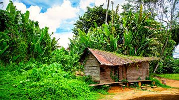 Maroon-Dorf in Surinam von René Holtslag