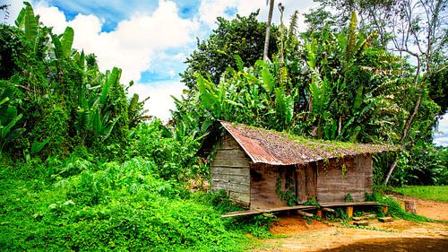 Marrondorp in Suriname