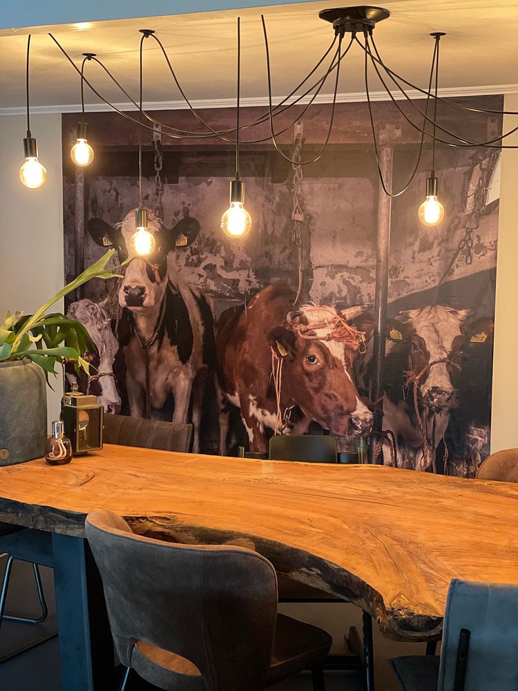 Kühe im alten Kuhstall  von Inge Jansen 