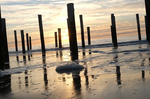 Palen bij zonsondergang