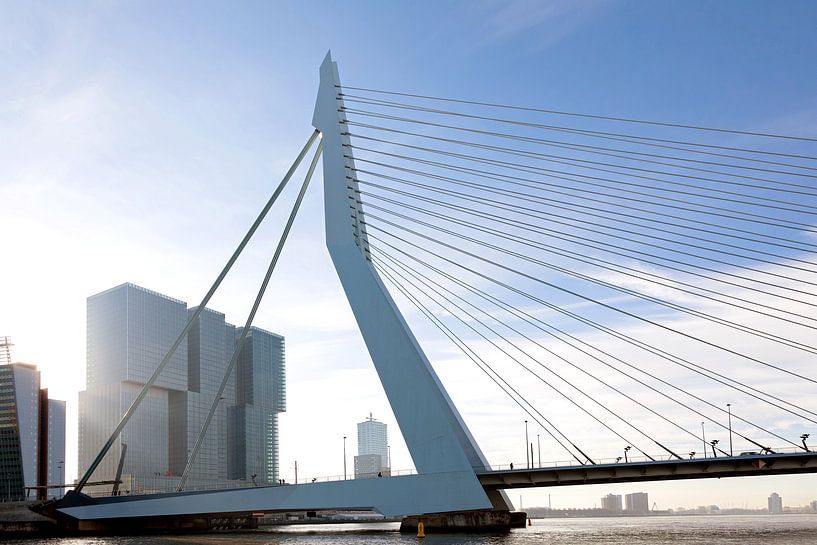 Erasmusbrug met zonlicht van Martin Hulsman