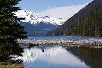 Duffey Lake BC Canada