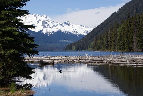 Duffey Lake BC Canada