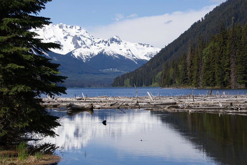 Duffey Lake BC Kanada von Hans Lok
