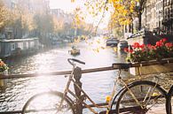 Fahrrad in Amsterdam von Patrycja Polechonska Miniaturansicht